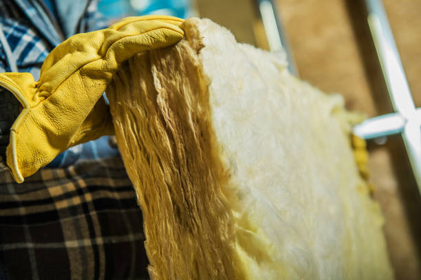 Best Blown-in Insulation in Sylva, NC