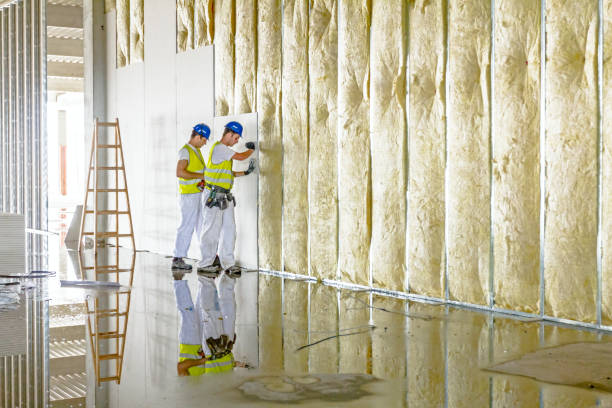 Types of Insulation We Offer in Sylva, NC